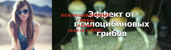 тгк Алексеевка