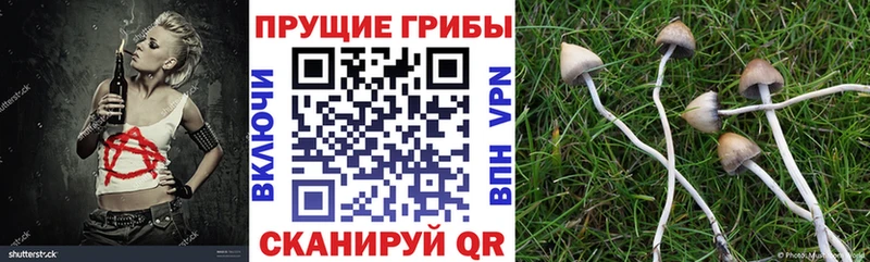 Псилоцибиновые грибы Magic Shrooms  hydra рабочий сайт  Урай 